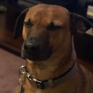 Meet your Posher, Gary